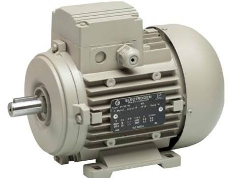 الکتروموتور سه فاز آلومینیومی الکتروژن مدل 0.18KW-3000RPM